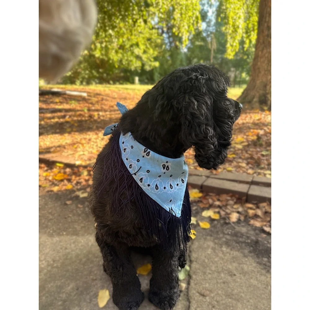 Blue Jean Baby Blue Paisley Fringe Dog Bandana | Handmade Western Pet Accessory